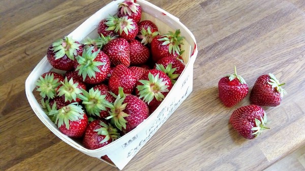 Karls strawberries