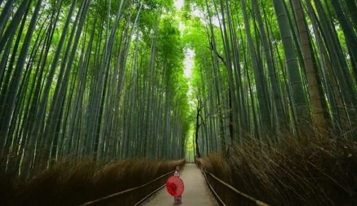 京都を効率的に観光しよう！嵐山・金閣寺・錦市場を巡るおすすめコース
