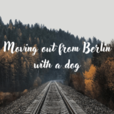 ドイツのベルリンからイタリアのフィレンツェへ電車で犬連れお引越し